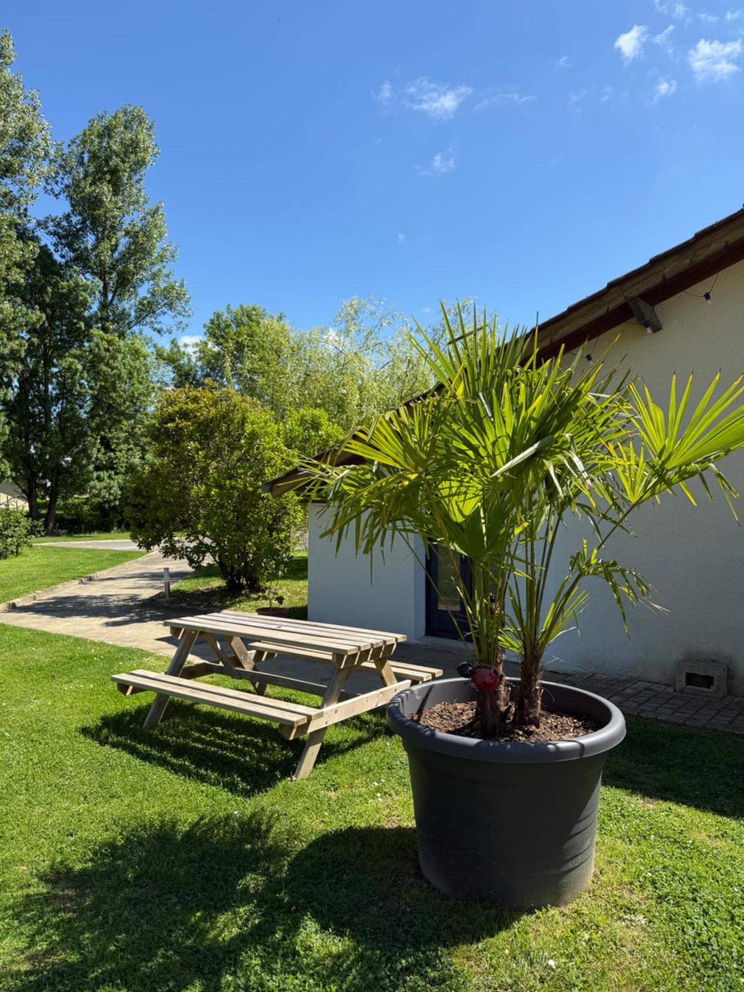 Parc De La Charmille Bed & Breakfast Saint-Etienne-sur-Reyssouze Exterior photo